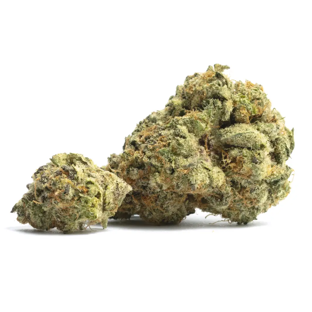 OG Khush
