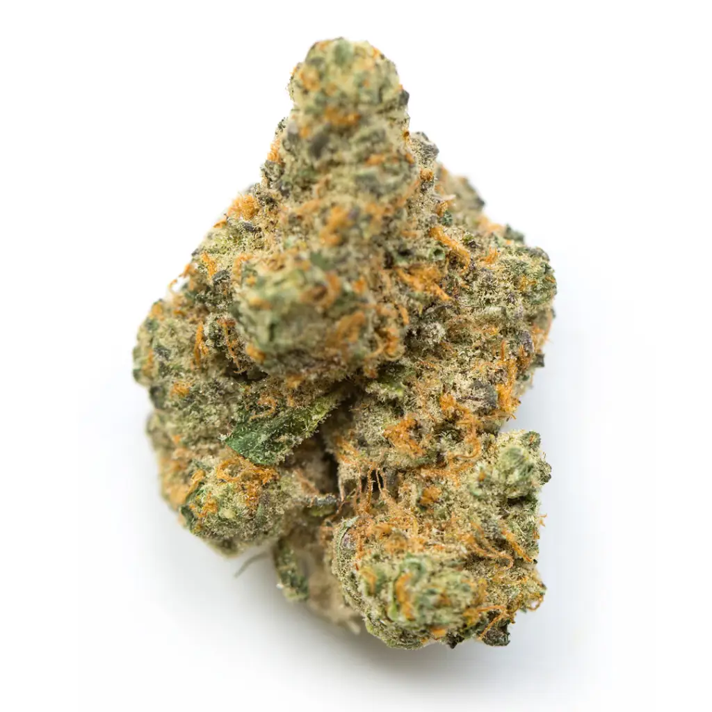 Gelato