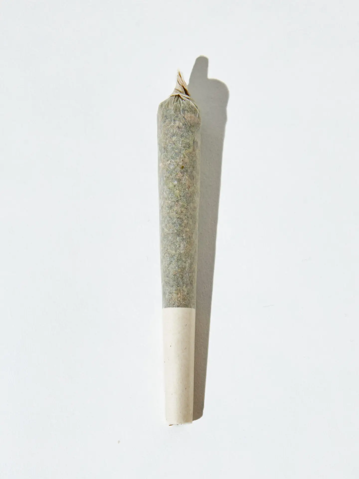 Apple Fritter - Saints Lite Pre-Roll